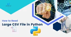 Read more about the article Best Way to Read Large CSV File in Python