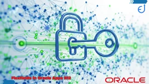 Read more about the article Complete Guide to Flexfields in Oracle Apps R12