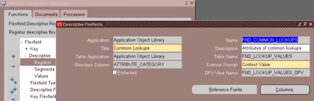 Query Descriptive Flexfields for Lookups
