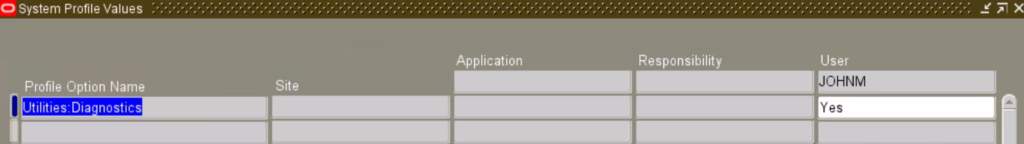 Enable Form personalization using Utilities:Diagnostics profile